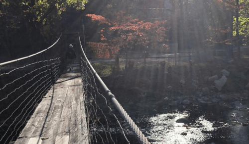 A person walks across a wooden suspension bridge surrounded by trees and sunlight reflecting on a stream below.