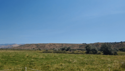 A wide view of a grassy field with rolling hills under a clear blue sky.