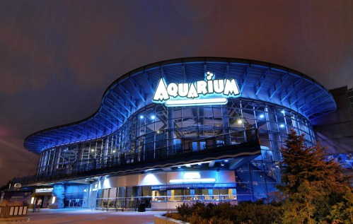 A modern aquarium building illuminated in blue light at night, featuring a curved roof and large glass windows.