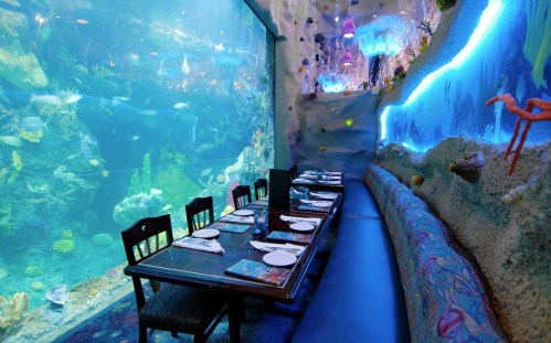 A dining area with a long table beside large aquariums filled with colorful fish and coral, illuminated by blue lights.