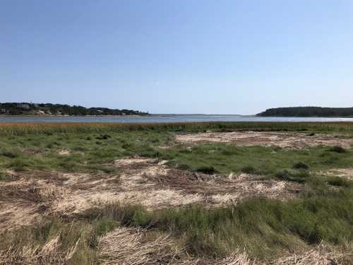 A serene landscape featuring a grassy area leading to a calm body of water under a clear blue sky.