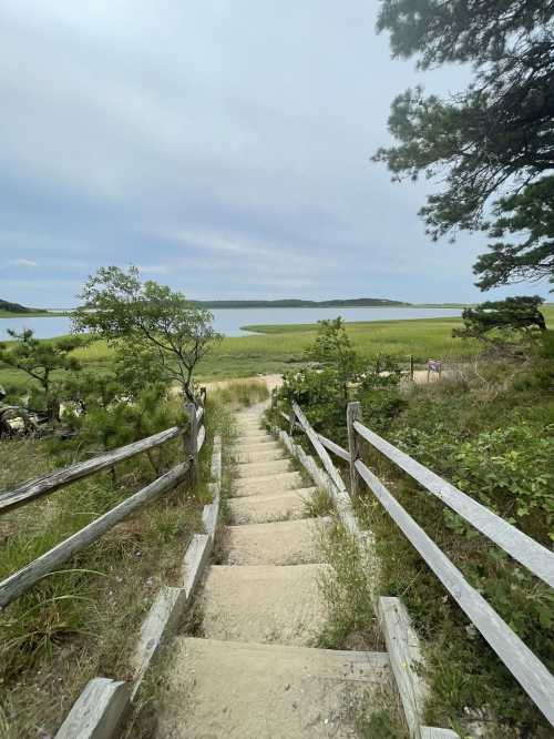 A sandy staircase leads down to a serene coastal view with greenery and water in the background under a cloudy sky.