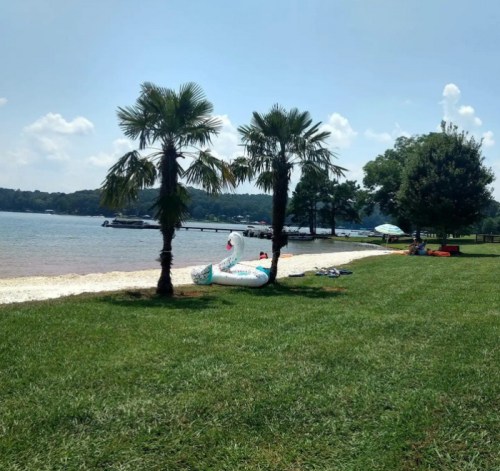 A sunny lakeside scene with palm trees, a beach, and people relaxing on the grass near the water.