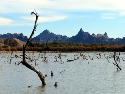 A serene landscape featuring a calm lake with dead trees and distant mountains under a clear blue sky.