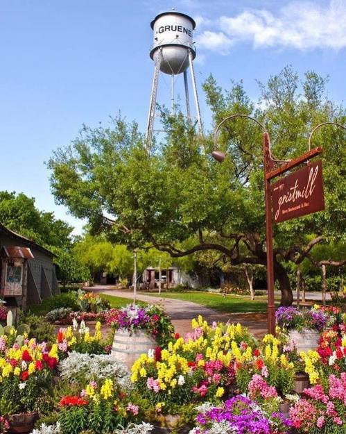 A vibrant garden filled with colorful flowers, featuring a water tower and a sign for the Gruene Gristmill in the background.