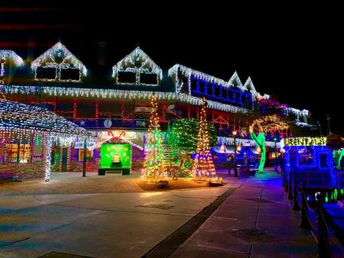 A festive display of colorful Christmas lights adorning a building and trees at night.