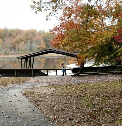 A person walks along a path by a lake, surrounded by autumn foliage and a wooden dock.