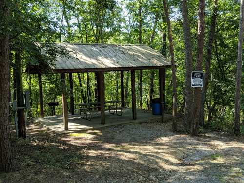 A shaded picnic shelter surrounded by trees, featuring a table, grill, and trash bin.