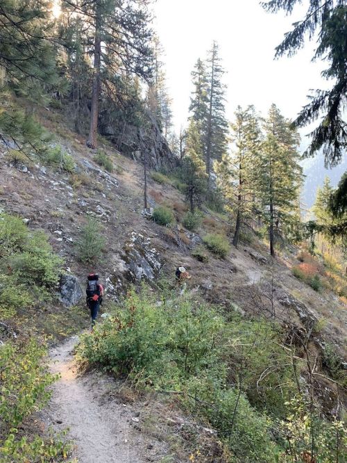 Two hikers navigate a winding trail through a forested area with tall trees and rocky terrain.