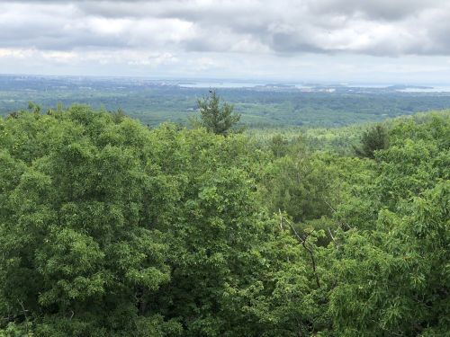 Lush green trees with a panoramic view of distant hills and cloudy skies in the background.