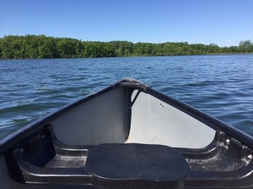 View from the front of a boat on calm water, with lush green trees lining the shore under a clear blue sky.
