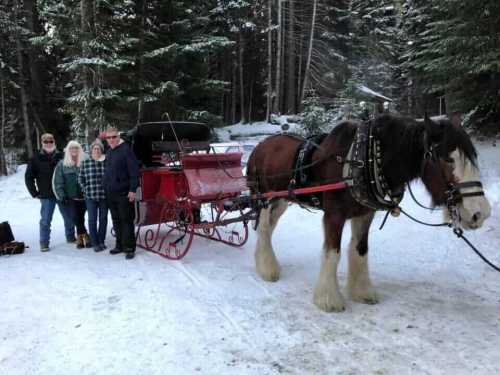 A group of four people stands beside a horse-drawn sleigh in a snowy forest. Pine trees surround them.