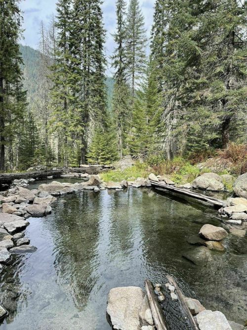 A serene forest scene featuring a clear pond surrounded by tall pine trees and rocky terrain.