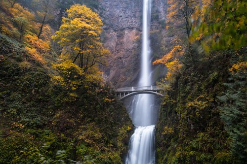 A stunning waterfall cascades down rocky cliffs, framed by vibrant autumn foliage and a bridge above.