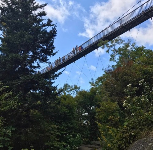 A suspension bridge spans a lush green landscape, with people walking across under a blue sky with scattered clouds.