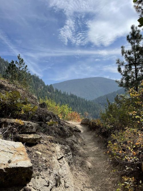 A winding dirt trail through a forested area, with mountains and a blue sky in the background.