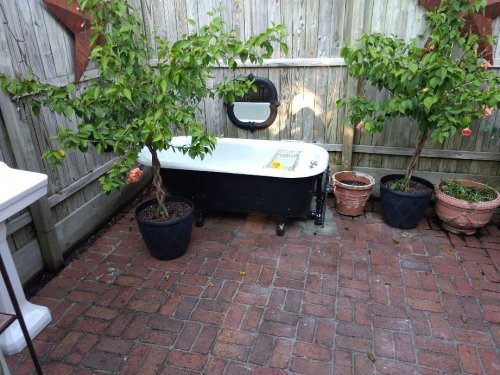 A vintage bathtub sits on a brick patio surrounded by potted plants and a wooden fence.