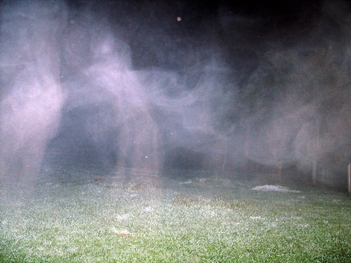 A misty, foggy scene with indistinct shapes in a dark outdoor setting, partially obscuring the grass below.