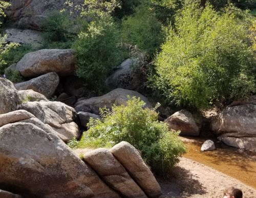 A rocky landscape with large boulders and lush green bushes near a small stream. Sunlight filters through the trees.