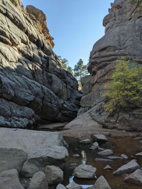 A narrow canyon with towering rock formations and a small stream running through it under a clear blue sky.