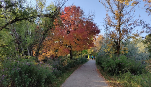 A scenic pathway lined with colorful autumn trees and blooming plants, leading into a serene park setting.