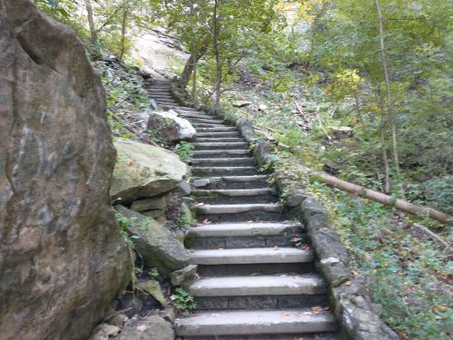 Stone steps winding through a lush, green forest with rocky outcrops and trees lining the path.