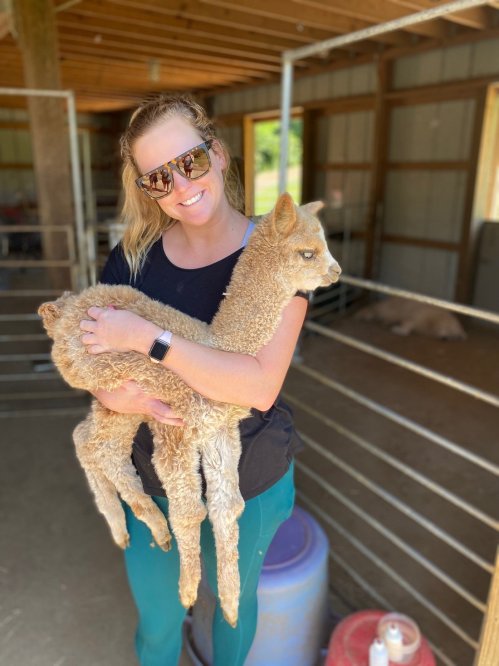 A smiling woman in sunglasses holds a fluffy baby alpaca in a barn setting.