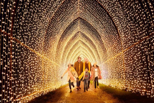 A family walks through a dazzling tunnel of bright holiday lights, creating a festive atmosphere.