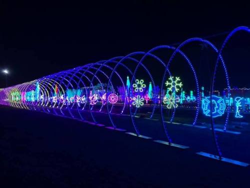 A vibrant display of colorful holiday lights in various shapes, creating a festive atmosphere at night.