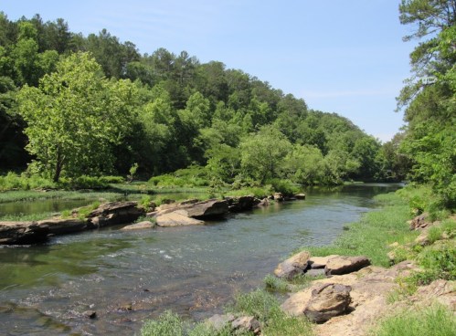 A serene river flows through a lush green landscape, surrounded by trees and rocky banks under a clear blue sky.