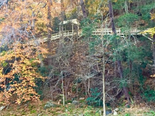 A wooden walkway winds through a forest with autumn leaves, surrounded by trees and rocky terrain.