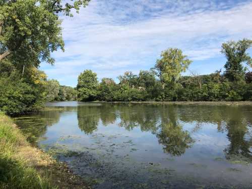 A serene river scene with lush greenery and trees reflecting in the calm water under a partly cloudy sky.