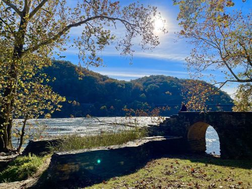 A serene riverside scene with trees, a stone arch, and sunlight reflecting on the water under a clear blue sky.