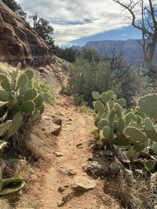 A narrow dirt trail winds through a desert landscape with cacti and rocky terrain under a cloudy sky.