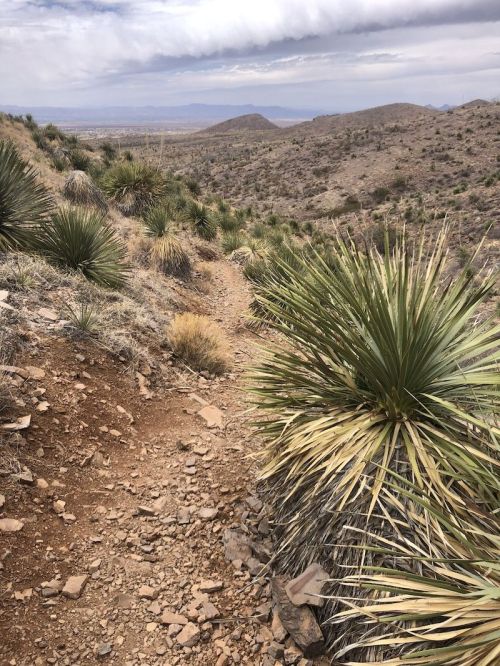 A rocky trail winds through a desert landscape with sparse vegetation and distant mountains under a cloudy sky.