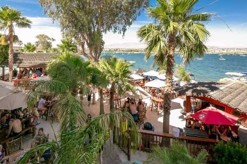 A vibrant beachside bar scene with palm trees, outdoor seating, and a view of the water and boats in the background.