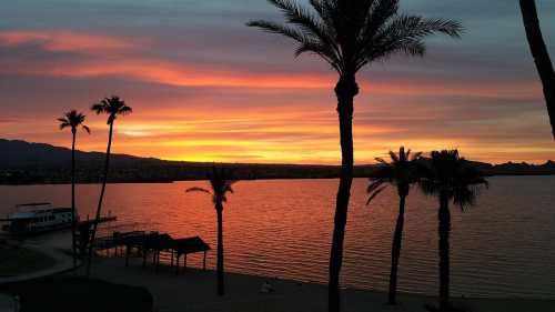 A vibrant sunset over a lake, with silhouetted palm trees and a dock in the foreground.