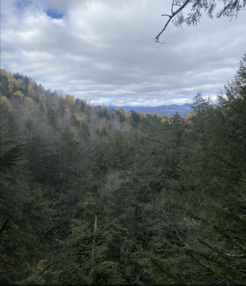 A scenic view of a forested landscape with mountains in the distance under a cloudy sky.