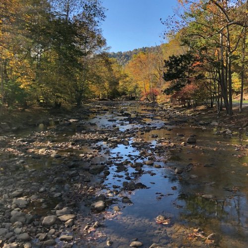 A serene stream flows through a colorful autumn landscape, surrounded by trees and rocky banks under a clear blue sky.