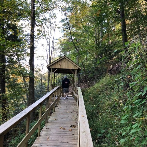 A person walks along a wooden path through a lush, green forest with trees and foliage surrounding them.