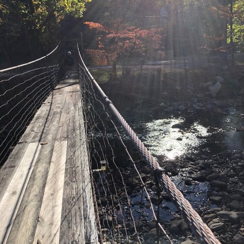 A wooden suspension bridge over a stream, surrounded by trees and sunlight filtering through the leaves.
