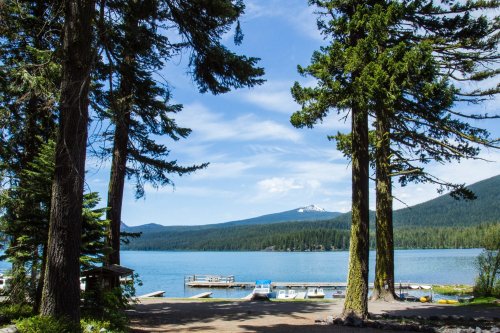 A serene lake view framed by tall trees, with boats docked and mountains in the background under a blue sky.