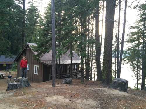 A boy stands on a stump near a rustic cabin surrounded by tall trees and a lake in the background.