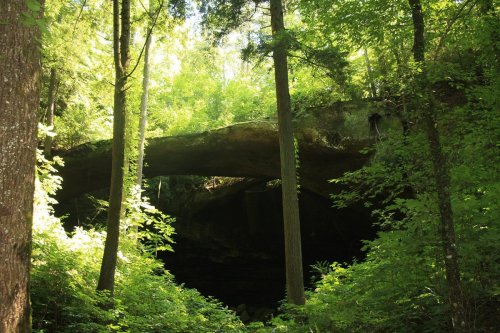 A natural stone arch surrounded by lush green trees and foliage in a forested area.