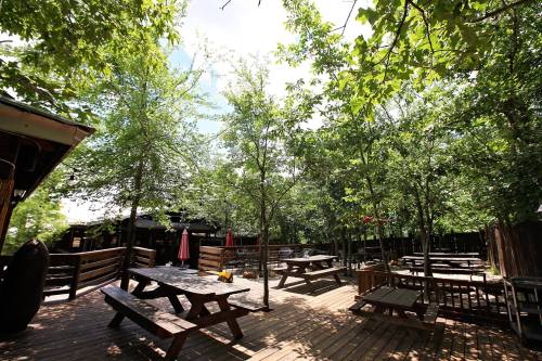 Outdoor seating area with wooden tables surrounded by trees and a clear blue sky.