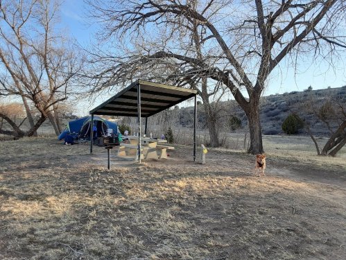 A campsite with a covered picnic area, a tent, and a dog in a grassy area surrounded by trees and hills.
