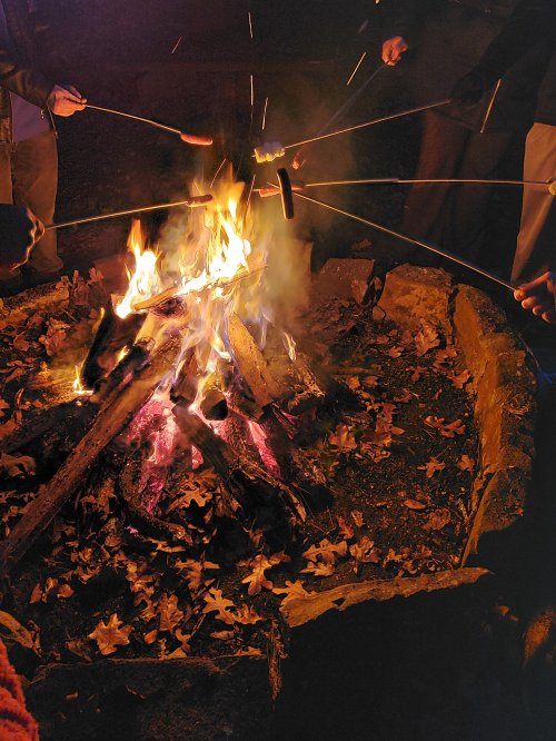 People roasting hot dogs over a crackling campfire surrounded by autumn leaves at night.