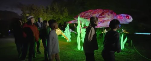 A group of people watches a large illuminated turtle display among glowing plants at night.