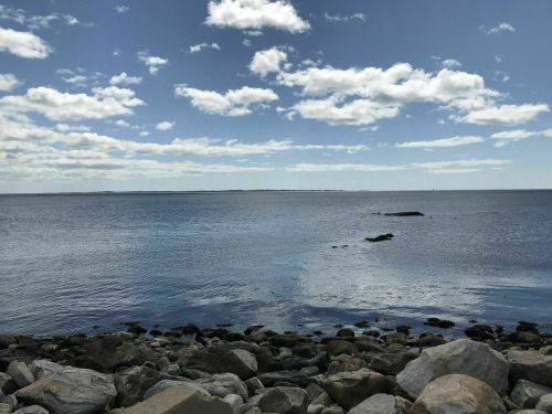 A serene coastal scene with rocky shorelines, calm water, and a blue sky dotted with clouds.
