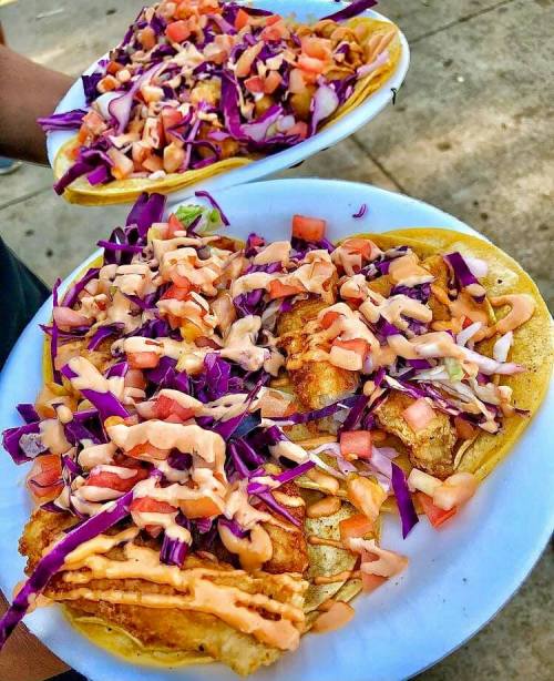 Two plates of tacos topped with shredded cabbage, tomatoes, and a creamy sauce, held by a person.